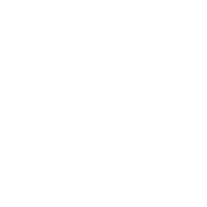 Just Love or a Bad Influence Logo
